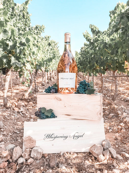 Whispering Angel Rosé 2023/2024 and LARGE FORMAT BOTTLES
